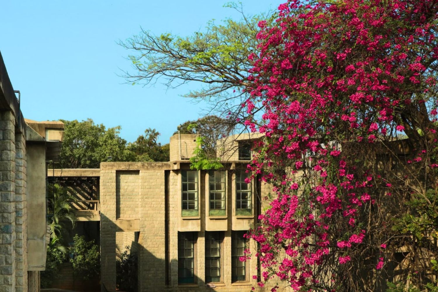 IIM Bangalore Campus 6